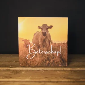 Beterschap Kaart – koe